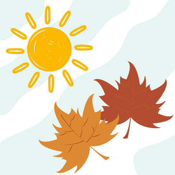 Cambio de estación: todo lo que necesitas saber para proteger tu piel en otoño