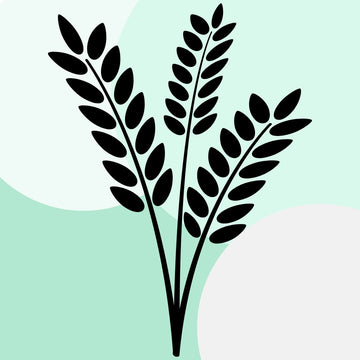 Células madre vegetales y proteínas hidrolizadas