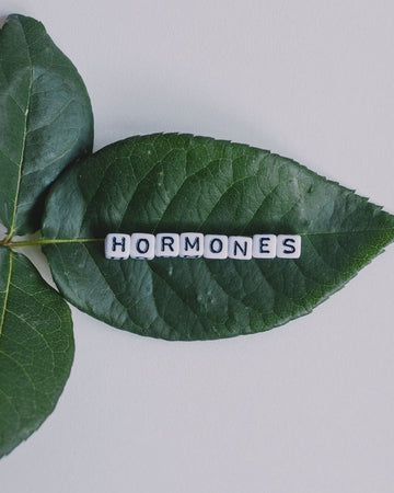 La normativa dice que es seguro. La ciencia no lo tiene tan claro.