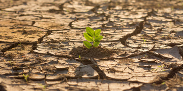 calentamiento global