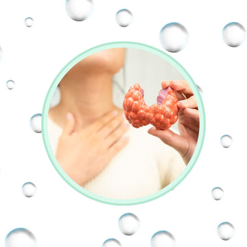 Cómo afectan los disruptores endocrinos a la tiroides