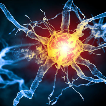 ¿Qué efectos negativos en la salud tienen los disruptores endocrinos?