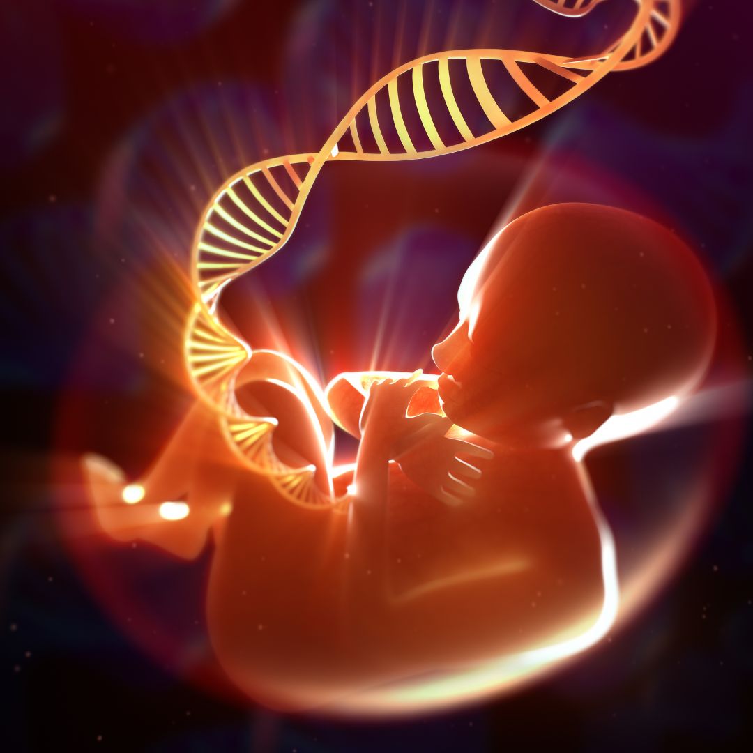 ¿Los disruptores endocrinos se heredan? la herencia es genética y ambiental.