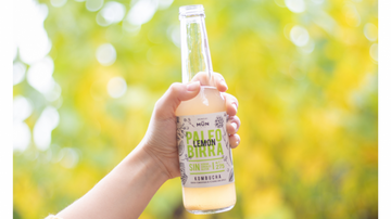 La revolución de la Kombucha y sus grandes beneficios para la salud