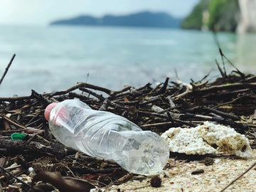 El día de los océanos: El momento perfecto para tomar conciencia
