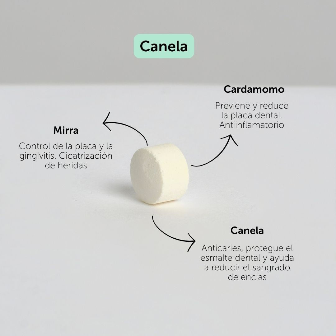 PREVENTA: Refill Pasta de Dientes en Pastilla ECO AUTUMN