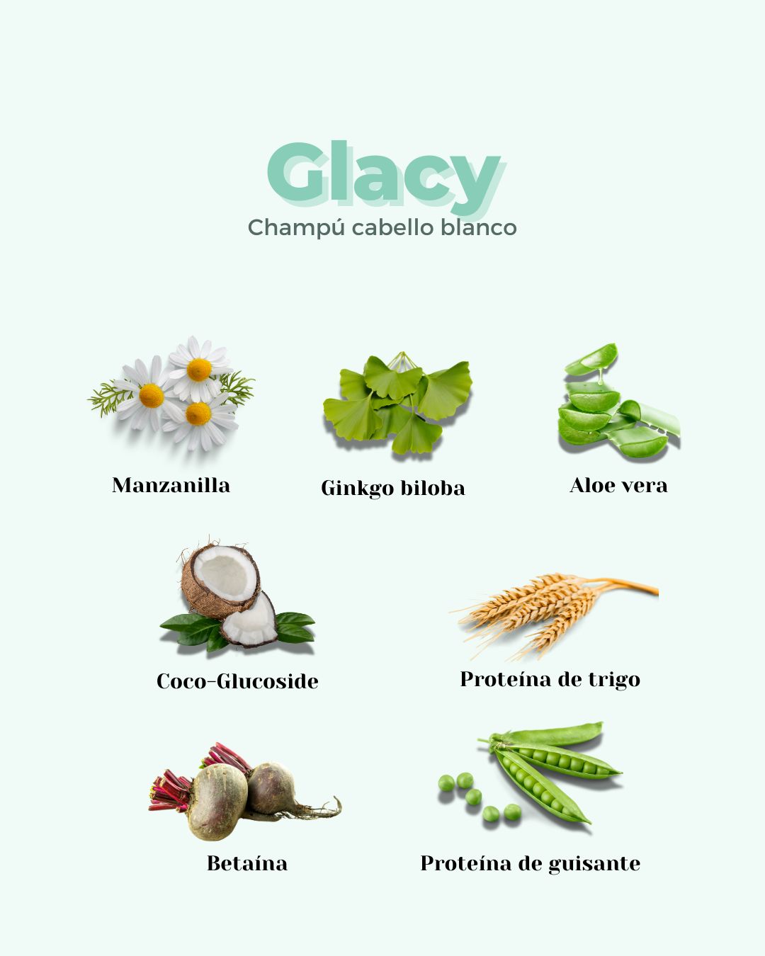 Champú para pelo blanco natural en formato sólido, libre de tóxicos, perfecto para el cuidado diario de canas y rubios. Con ingredientes naturales como manzanilla, ginkgo biloba, aloe vera, coco-glucoside, proteína de trigo, beína y proteína de guisante. 
