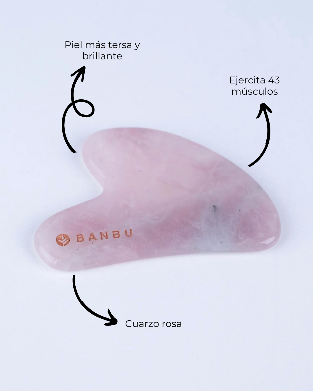 Masajeador Propiedades Del Cuarzo Rosa En La Piel Gua Sha De