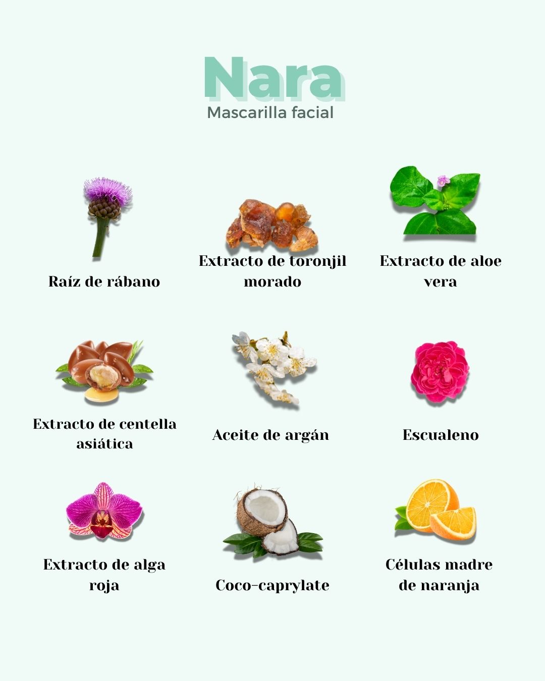 Mascarilla facial hidratante formulada con ingredientes 100% naturales botánicos como el aloe vera y la centella asiática.