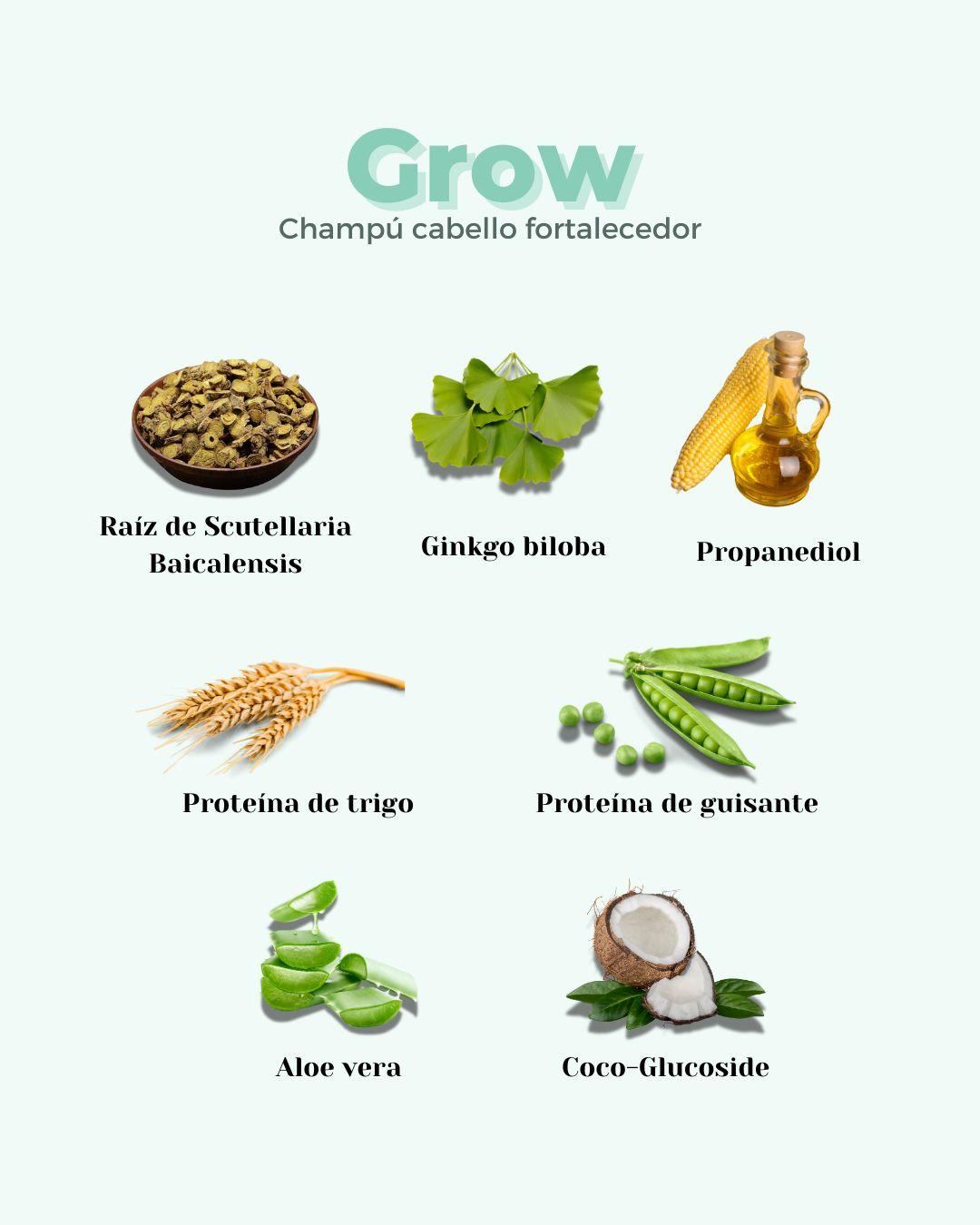 Mejor champú anticaída ecológico y vegano, formulado para fortalecer el pelo y prevenir su caída con ingredientes naturales como la raíz de scutellaria, Ginko biloba, propanediol, proteína de trigo, proteína de guisante, aloe vera y coco-glucosoide.