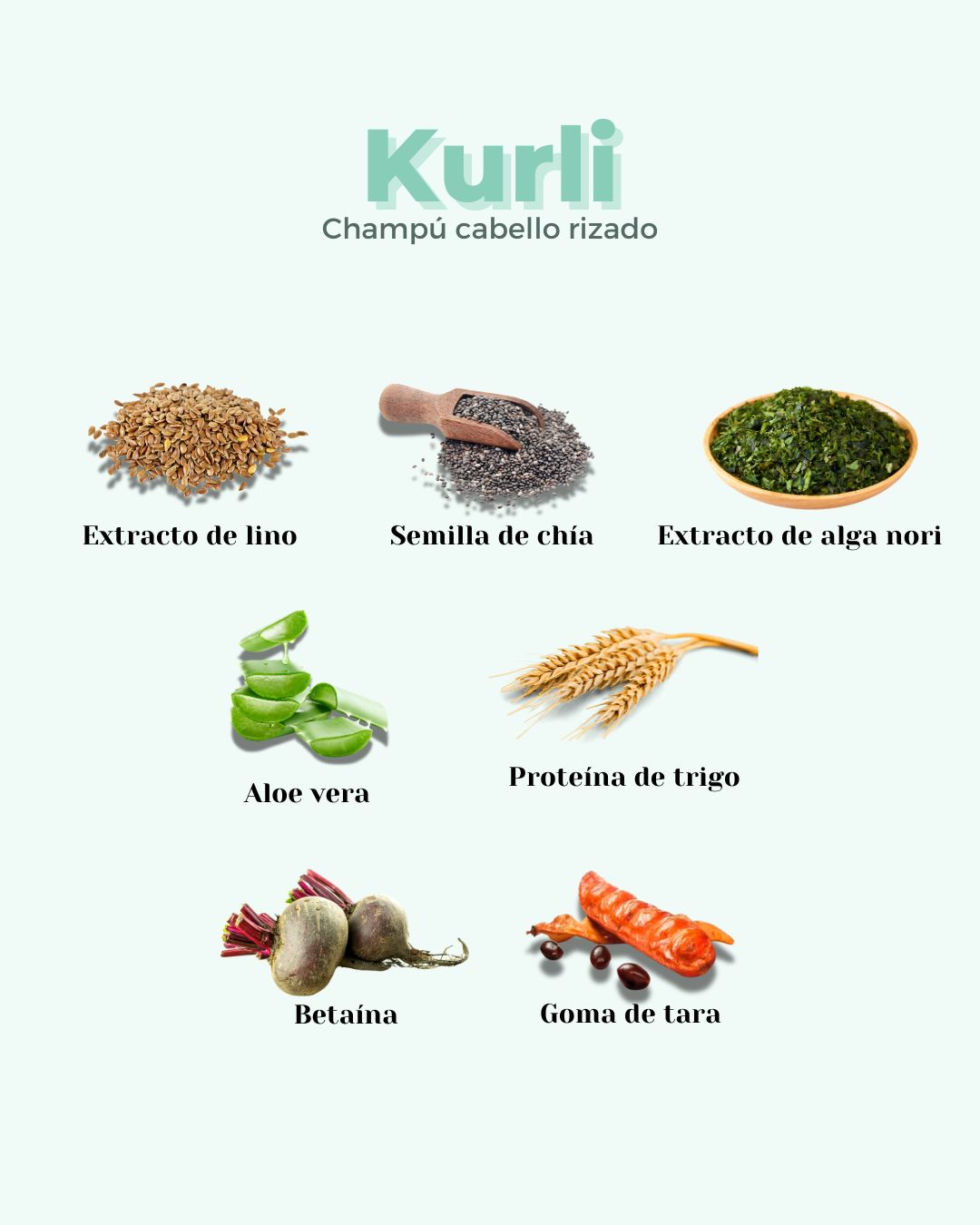 Ingredientes naturales del champú Kurli para pelo rizado: lino, chía, alga nori, aloe vera, proteína de trigo, betaína y goma de tara; perfecto para el Método Curly.