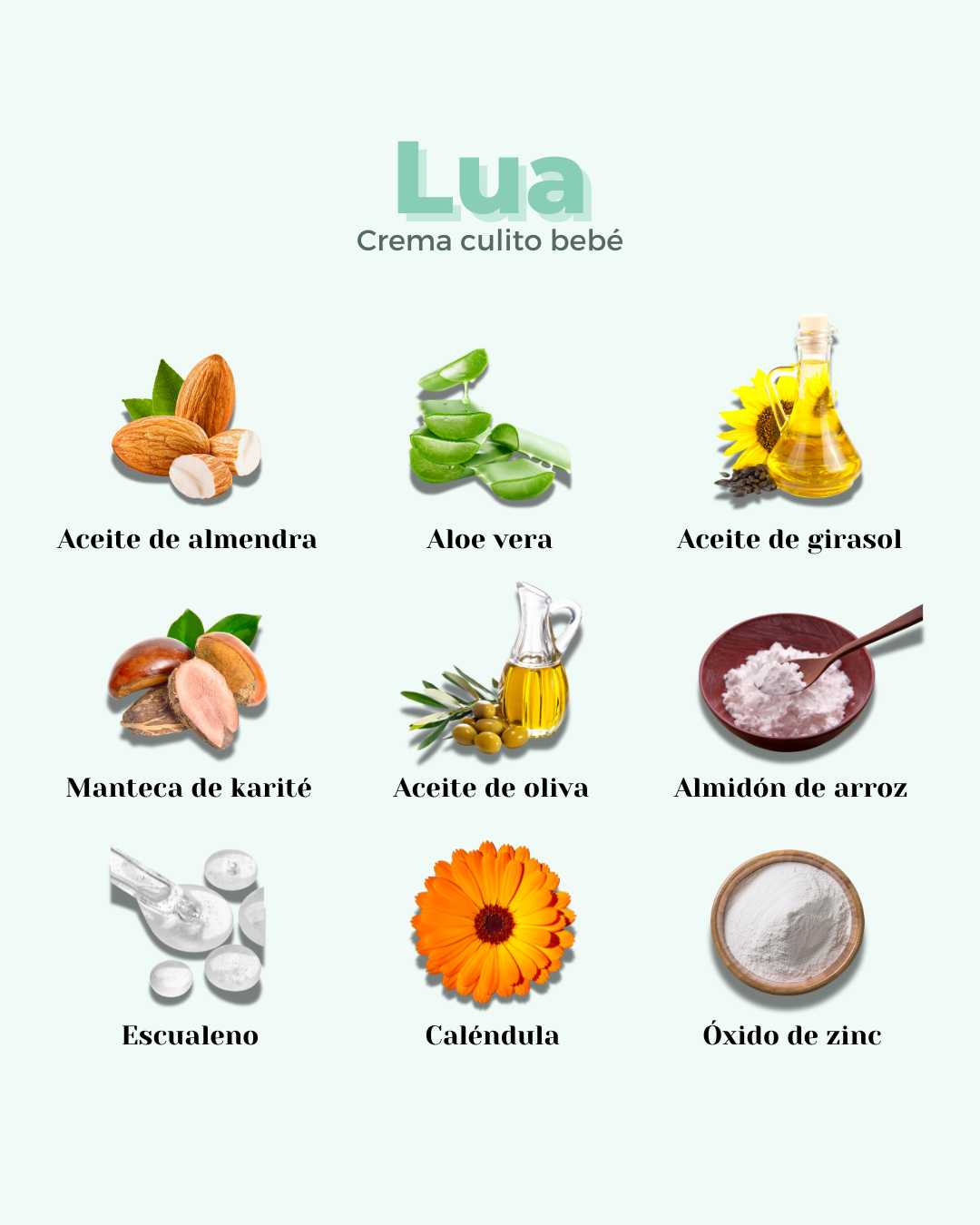 Ingredientes naturales de la crema para bebé Dream: almendra, aloe vera, girasol, lavanda y caléndula.