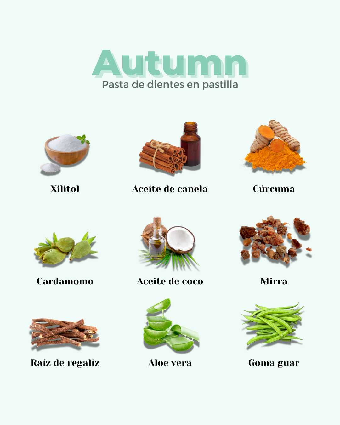 Infografía de los ingredientes 100% naturales de Autumn: xilitol, aceites de canela y coco, cúrcuma, cardamomo, mirra, raíz de regaliz, aloe vera y goma guar para un dentífrico sin flúor.