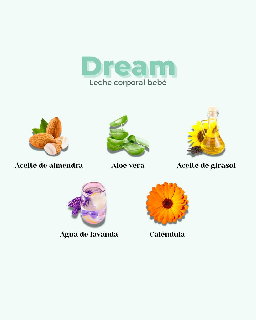 Ingredientes naturales de la leche corporal bebé Dream: almendra, aloe vera, girasol, lavanda y caléndula.