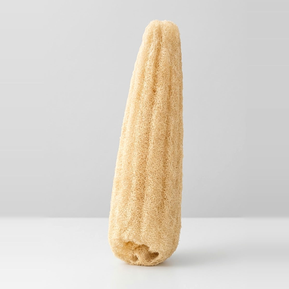 LIQUIDACIÓN Esponja de Luffa Natural Entera