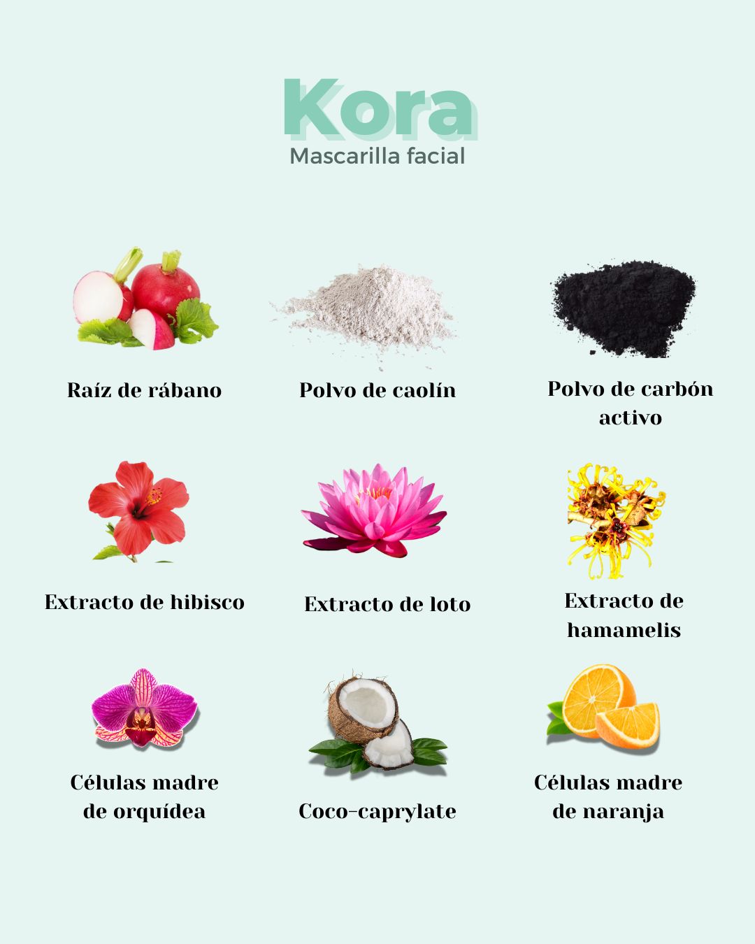 mascarilla facial para piel grasa con ingredientes naturales como el polvo de carbón activo, extracto de hibisco y extracto de loto.